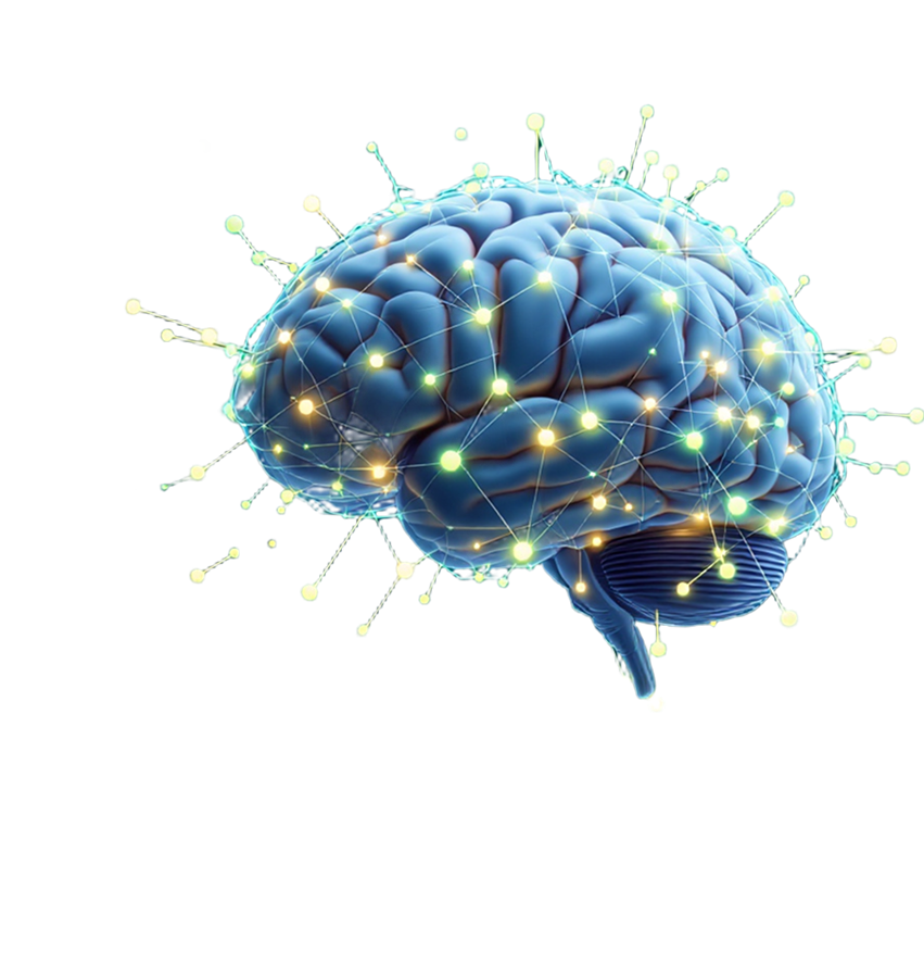 Cognix Health Brain Visualization